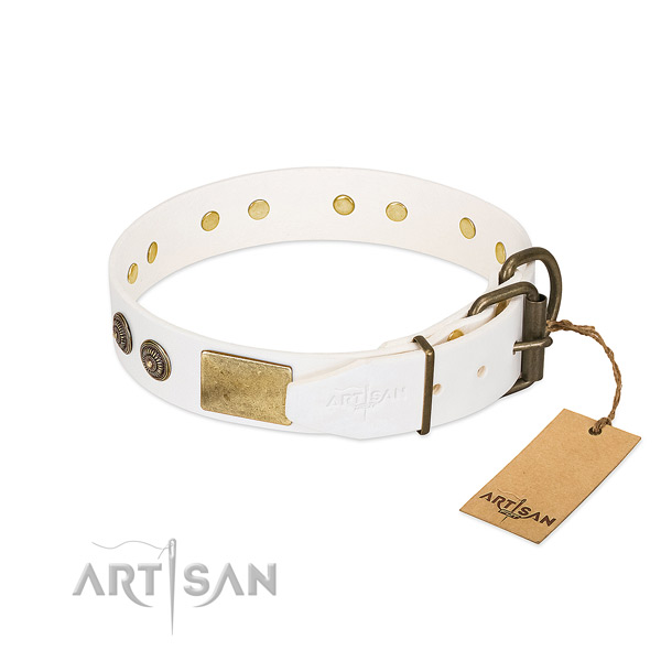 Rust resistant buckle on full grain genuine leather collar for stylish walking your four-legged friend