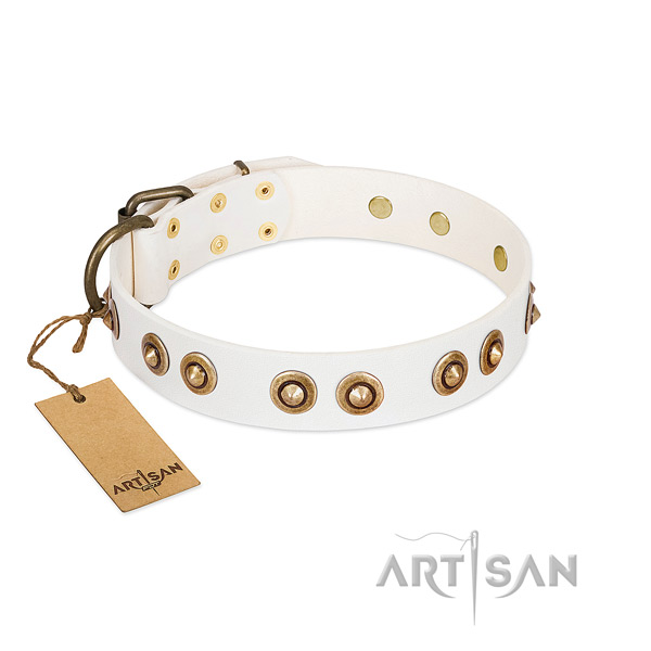 Easy adjustable genuine leather collar for your dog