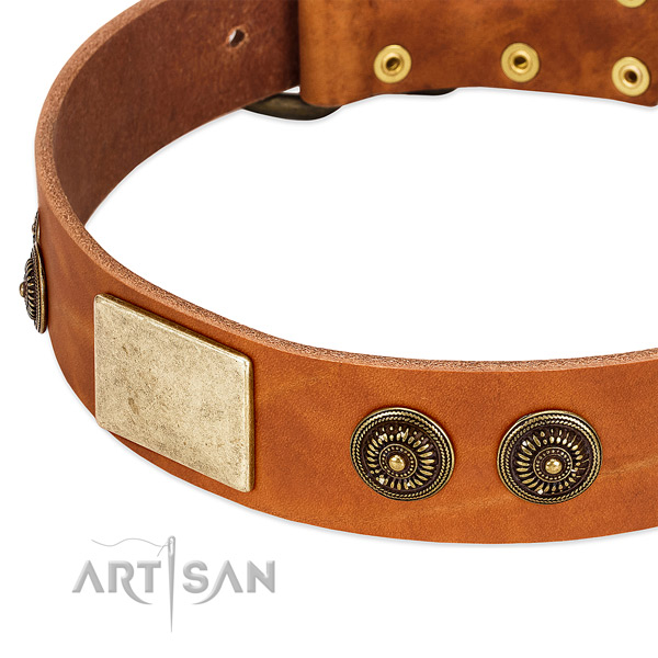 Best quality dog collar handmade for your handsome doggie