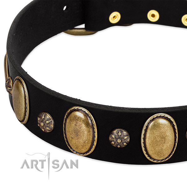 Comfortable wearing best quality leather dog collar