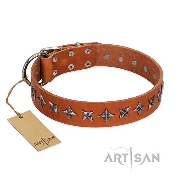 Basic training dog collar of top quality natural leather with embellishments