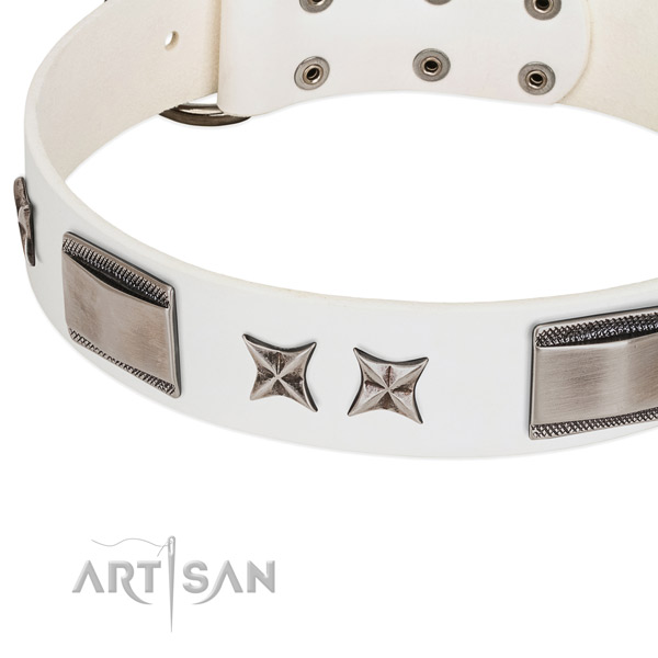Soft to touch leather dog collar with durable fittings