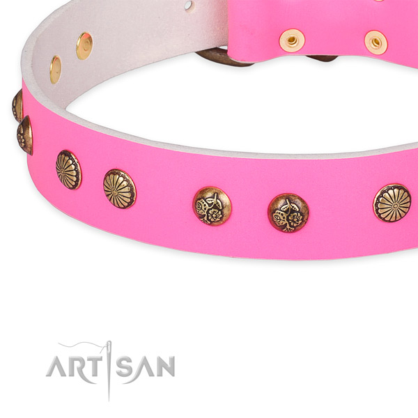 Leather collar with corrosion proof hardware for your lovely dog