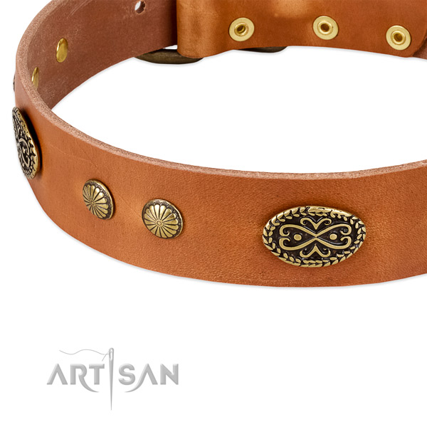 Rust-proof embellishments on full grain natural leather dog collar for your pet