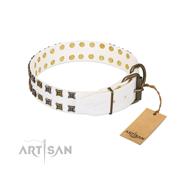 Full grain natural leather collar with extraordinary studs for your four-legged friend