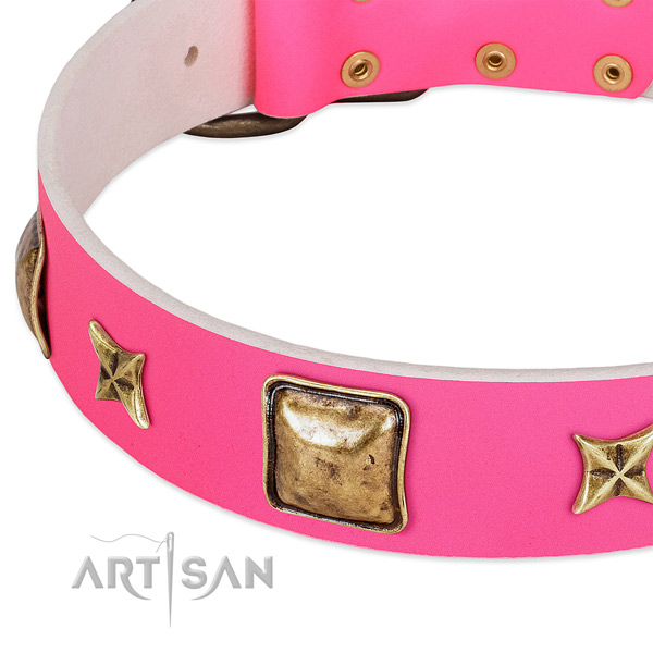 Leather dog collar with stunning decorations