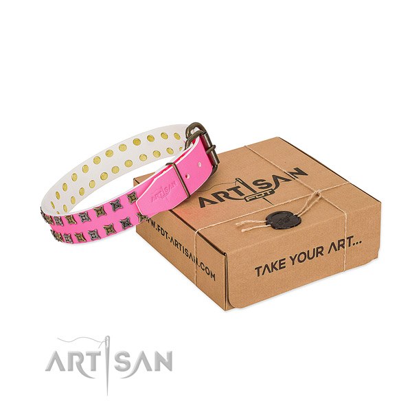 Natural leather collar with impressive adornments for your four-legged friend