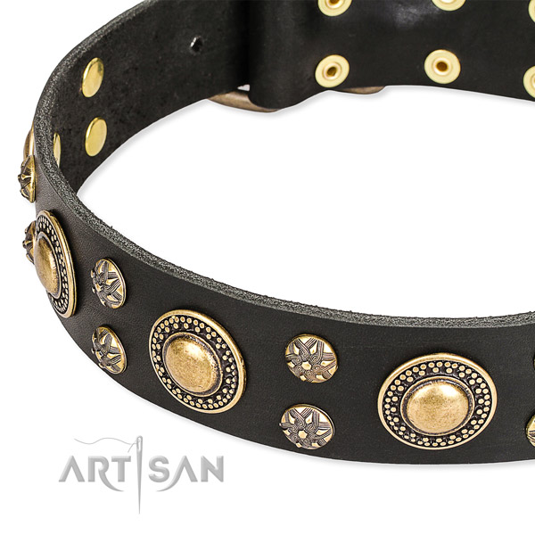 Stylish walking adorned dog collar of top quality genuine leather