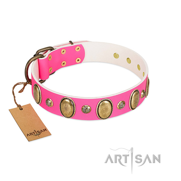 Daily use quality full grain natural leather dog collar with adornments