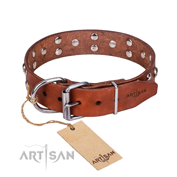 Stylish walking dog collar of fine quality leather with embellishments