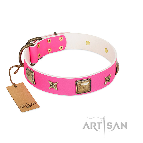 Full grain leather dog collar of reliable material with incredible studs