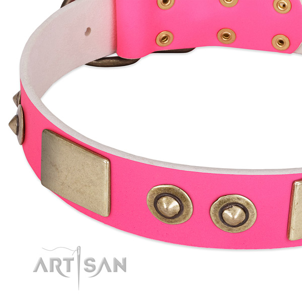 Corrosion proof adornments on genuine leather dog collar for your pet