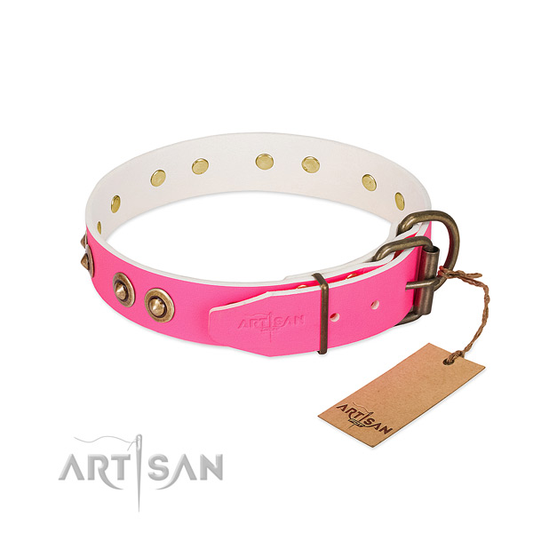 Full grain genuine leather dog collar with rust-proof fittings and decorations