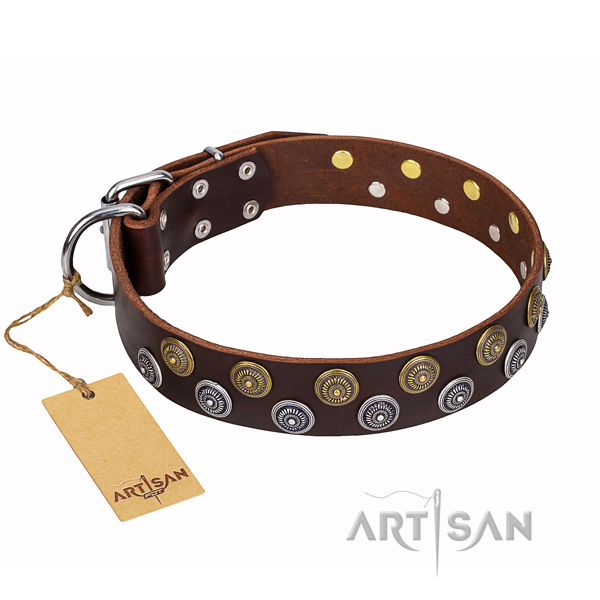 Stylish walking dog collar of strong full grain natural leather with decorations