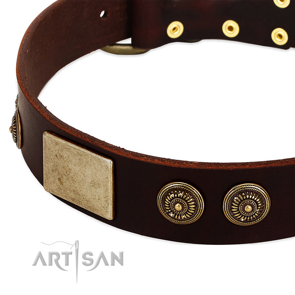 Rust resistant decorations on genuine leather dog collar for your canine