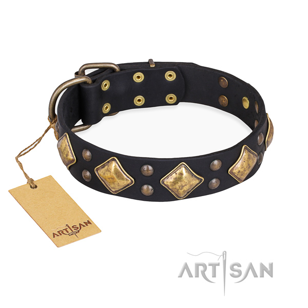 Stylish walking handmade dog collar with rust resistant hardware