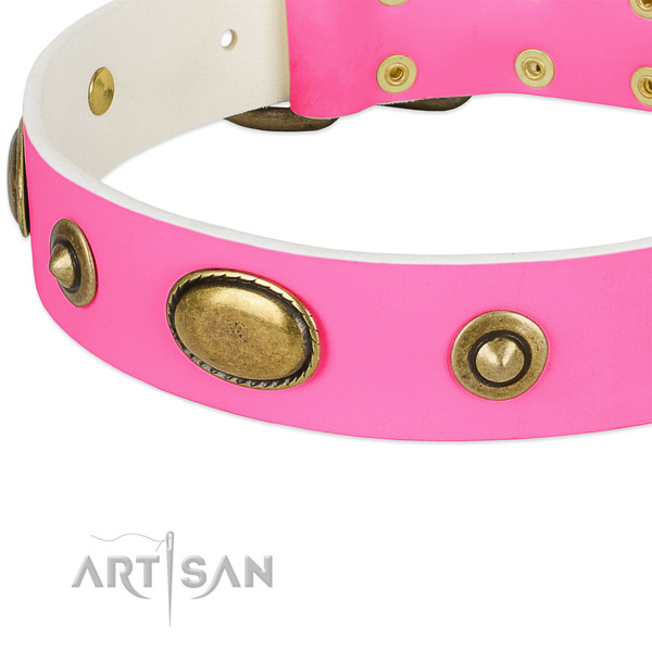 Strong decorations on full grain natural leather dog collar for your doggie