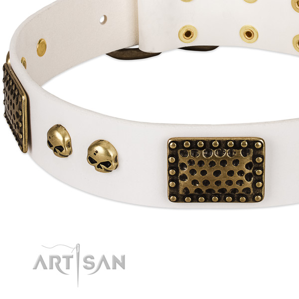 Reliable D-ring on genuine leather dog collar for your canine