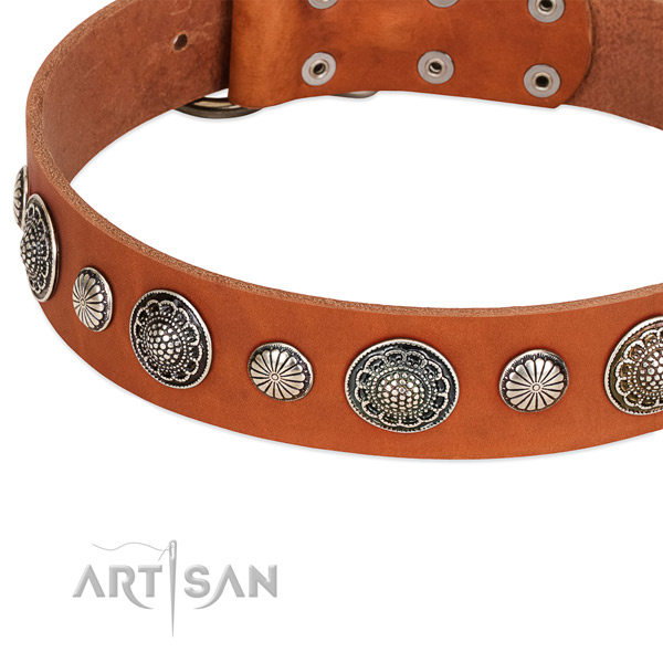 Full grain natural leather collar with corrosion proof hardware for your handsome pet