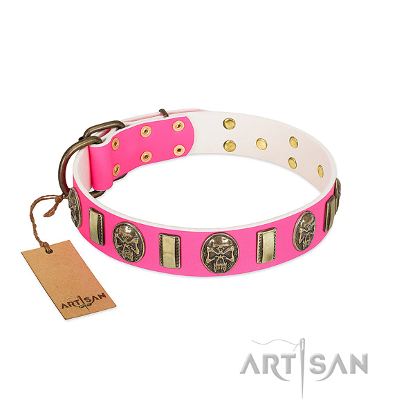 Reliable adornments on genuine leather dog collar for your dog