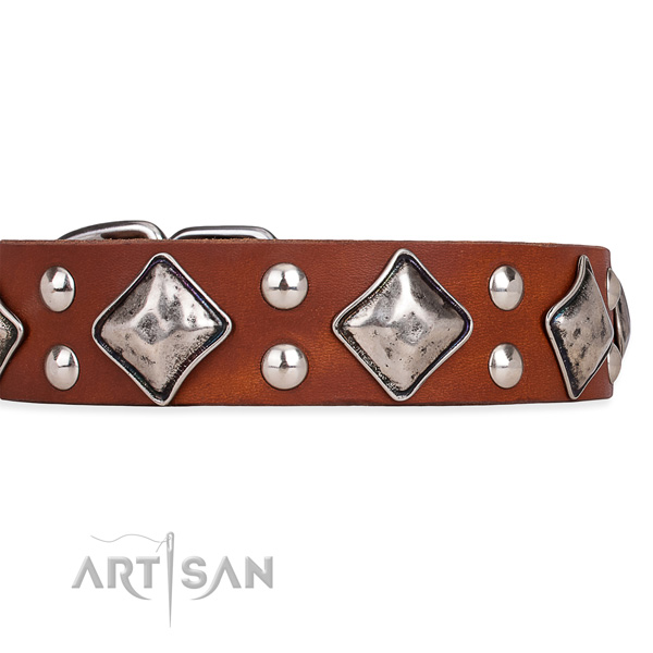 Full grain genuine leather dog collar with incredible durable adornments