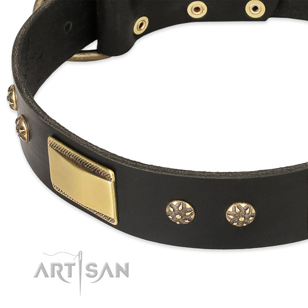 Corrosion proof adornments on leather dog collar for your canine