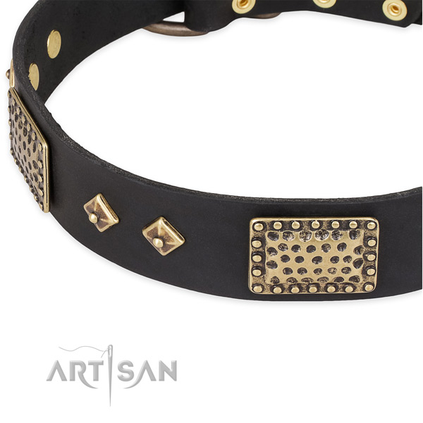 Rust-proof adornments on full grain natural leather dog collar for your pet