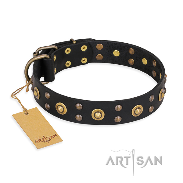 Walking easy wearing dog collar with rust resistant traditional buckle