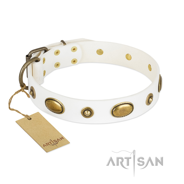 Embellished full grain natural leather collar for your doggie