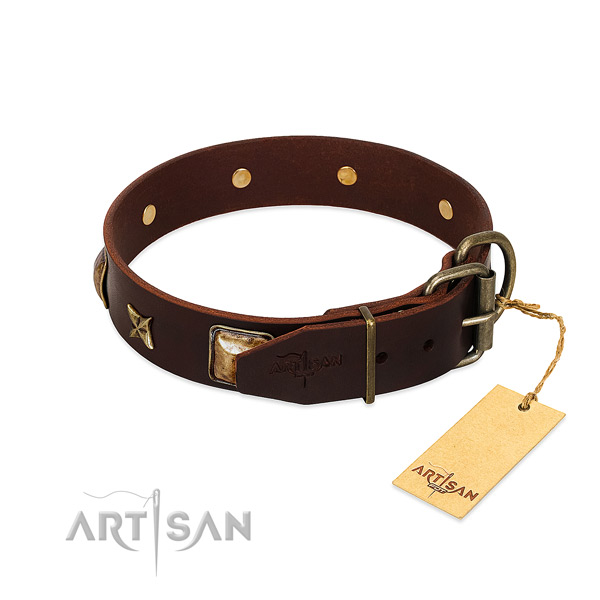 Full grain genuine leather dog collar with rust resistant buckle and embellishments