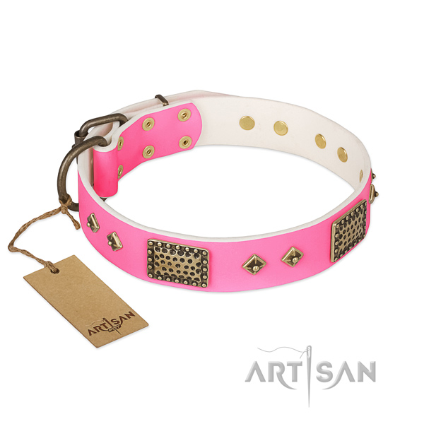 Easy to adjust full grain natural leather dog collar for walking your dog