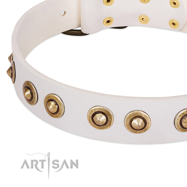 Corrosion proof buckle on natural leather dog collar for your four-legged friend