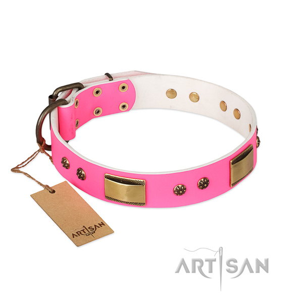 Perfect fit full grain leather collar for your four-legged friend