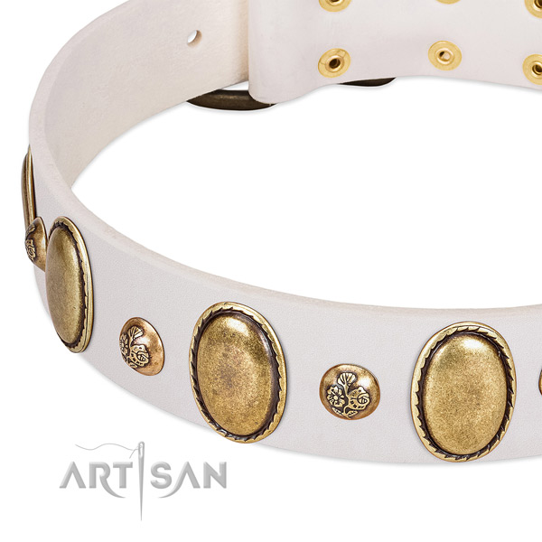 Full grain leather dog collar with fashionable studs