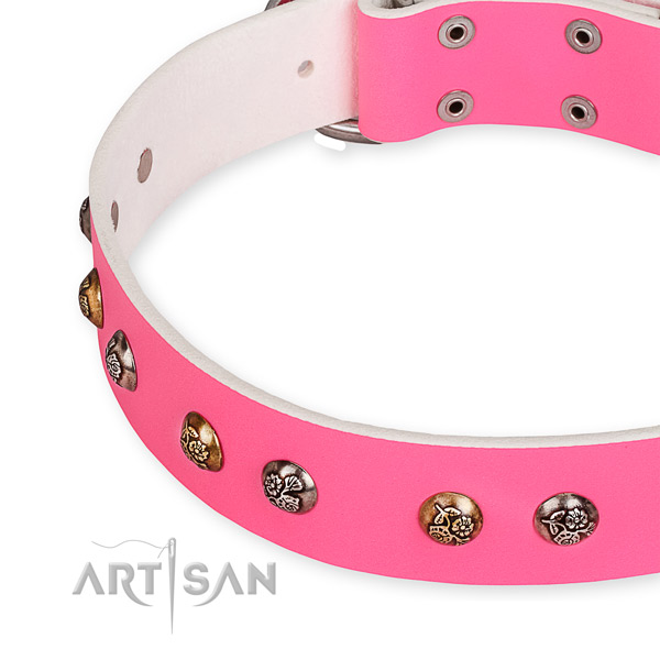 Natural leather dog collar with designer corrosion resistant adornments