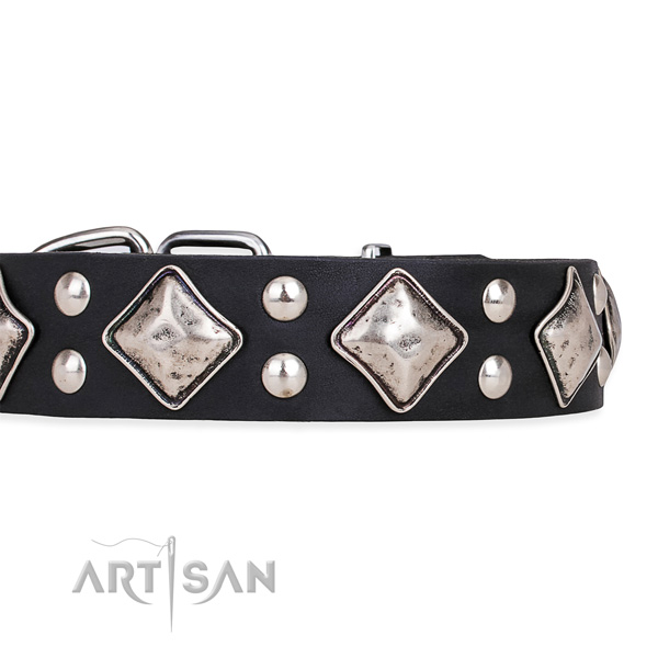 Natural leather dog collar with designer corrosion resistant adornments