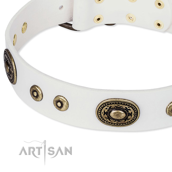 Full grain leather dog collar made of quality material with adornments