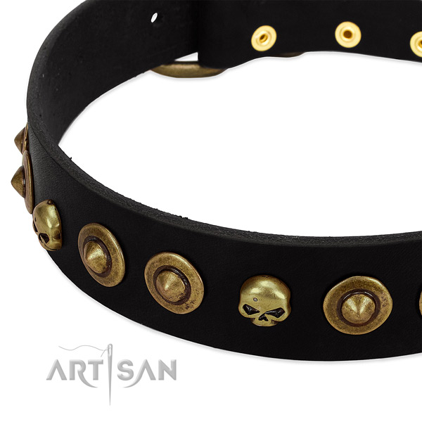Full grain leather dog collar with significant decorations