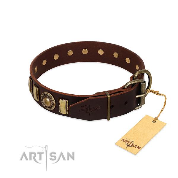 Remarkable leather dog collar with reliable traditional buckle