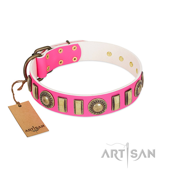 Stunning leather dog collar with corrosion resistant D-ring