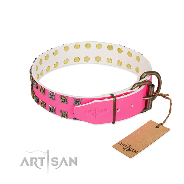 Full grain genuine leather collar with awesome embellishments for your four-legged friend