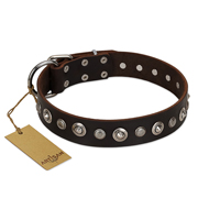 "Gorgeous Shields" FDT Artisan Brown Leather Labrador Collar with Old Silver-like Circles and Small Camomiles