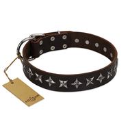 "Stars of Glory" FDT Artisan Brown Leather Labrador Collar for Comfortable Walking