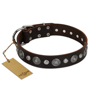 "Victory Ode" FDT Artisan Brown Leather Labrador Collar with Silver-like Plated Decorations