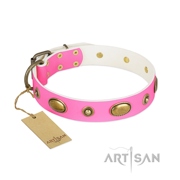 Stylish leather collar for your doggie
