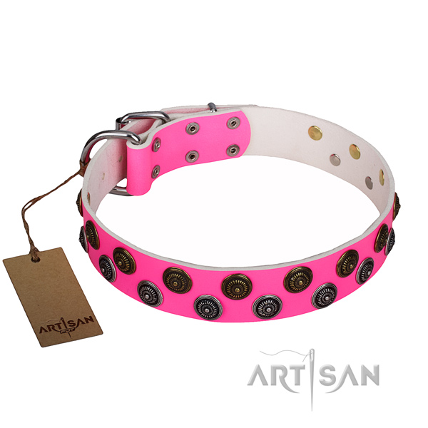 Handy use dog collar of fine quality full grain leather with embellishments