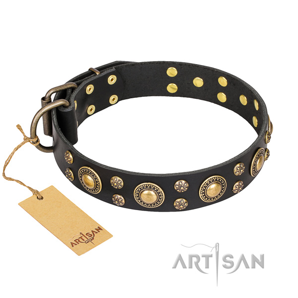 Walking dog collar of strong natural leather with embellishments