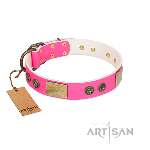 Best quality full grain leather dog collar for daily walking