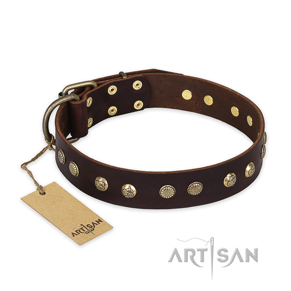 Incredible genuine leather dog collar with reliable traditional buckle