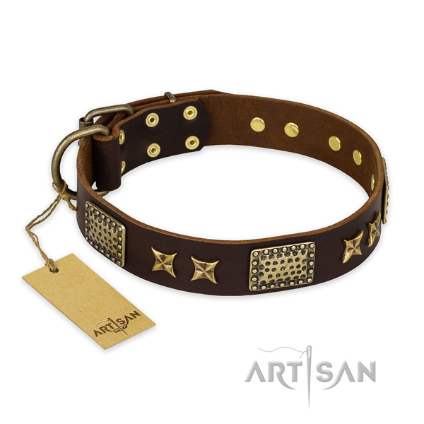 Extraordinary full grain leather dog collar with corrosion proof traditional buckle